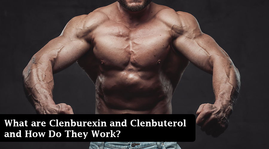 clenburexin vs clenbuterol